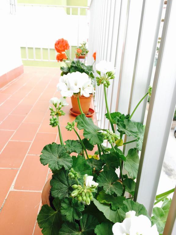 Axarquia Apartments Nerja Esterno foto